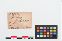 Etiketten zu Steinringperle (NHMW-PRAE-023902)